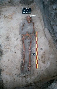 Click to zoom the picture.